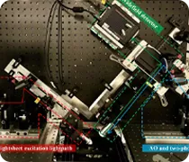 Adaptive Multicolor Two-Photon Light-Sheet Microscope