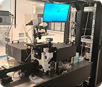 Single-molecule light field microscopy