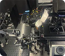 Multi-Conjugate Adaptive Optics (MCAO) Microscope