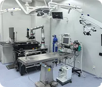 Auxiliary platform